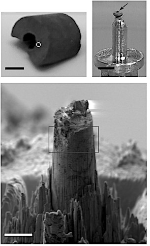 VPO catalyst pellet retrieved from reactor (top left). Preshaped sample mounted on a tomography pin (top right, black arrow) and focused ion beam milled sample cylinder (bottom). Scale bars are 5 mm, 1 mm and 10 µm. The white circle indicates the region from which the sample cylinder was extracted. The rectangle indicates roughly the field of view during XTNES tomogram acquisition.