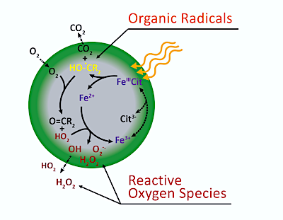 In atmospheric aerosol particles containing iron, iron can undergo rapid photochemical cycling. Photochemical reactions occur throughout the bulk and produce CCRs. Subsequent processes, such as ROS production, evaporation, or gas phase O_2 uptake and reaction with CCRs can be significantly stunted by molecular diffusion limitations.