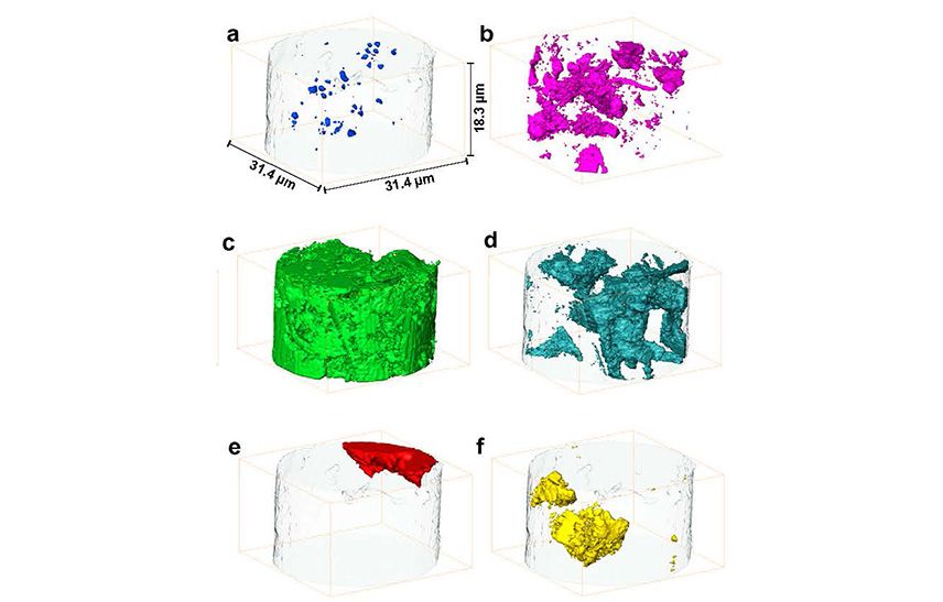 Surface renderings of six phases in a portland cement sample: (a) Unimpregnated / partially-impregnated porosity, (b) epoxy-impregnated porosity, (c) other hydrates (predominantly epoxy-impregnated calcium–silicate–hydrates), (d) calcium hydroxide, (e) calcium carbonate, (f) unhydrated / partially-hydrated clinker residues.